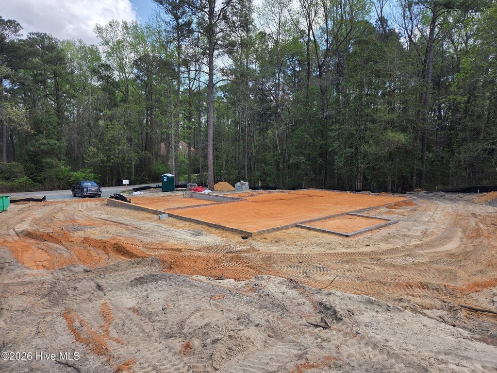 Photo of 308 Chestnut Drive, Vass, NC 28394 (MLS # 100565754)