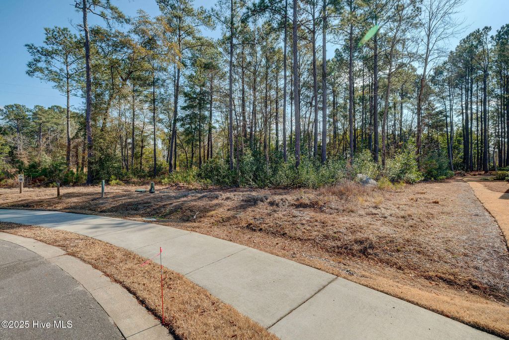 Photo of 1628 Osprey Cv Court, Wilmington, NC 28401 (MLS # 100488760)