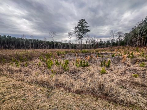 Vacant Land For Sale - 1016 Hidden Lake Court<br/> Lincolnton, GA 30817