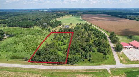 Vacant Land For Sale - 3 Stone Springfield Church Road<br/> Stapleton, GA 30823