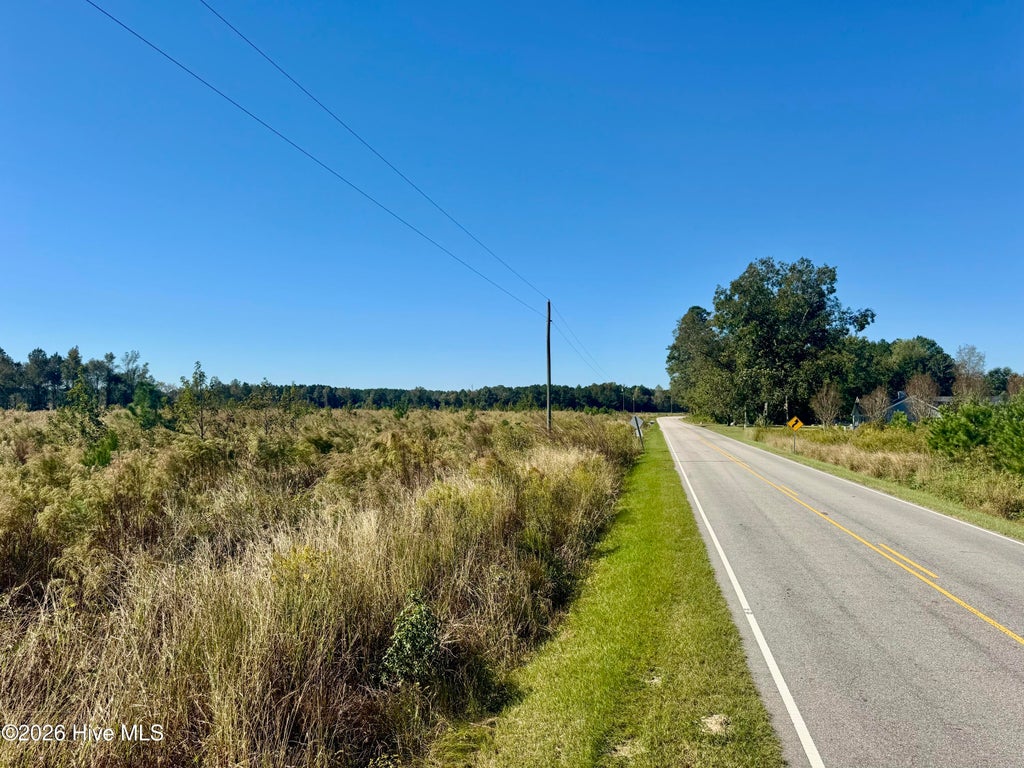 Photo of 0 Old Fayetteville Road, Garland, NC 28441 (MLS # 100592205)