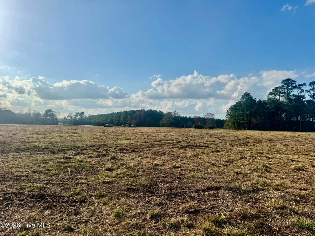 Photo of 0 Old Fayetteville Road, Garland, NC 28441 (MLS # 100592205)