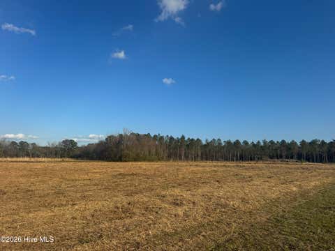 Vacant Land For Sale - Old Fayetteville Road<br/> Garland, NC 28441