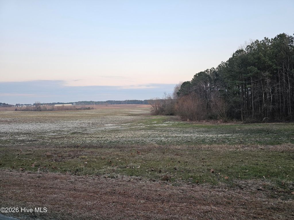 Photo of Tbd Bibey Road, Carthage, NC 28327 (MLS # 100553632)