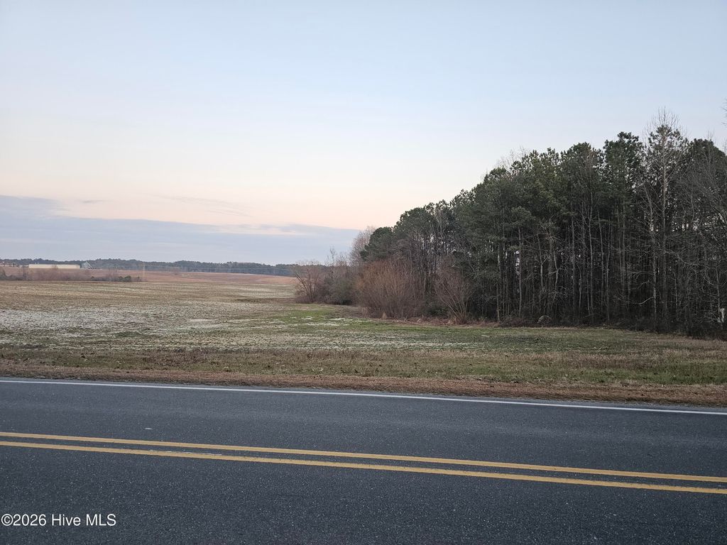 Photo of Tbd Bibey Road, Carthage, NC 28327 (MLS # 100553632)