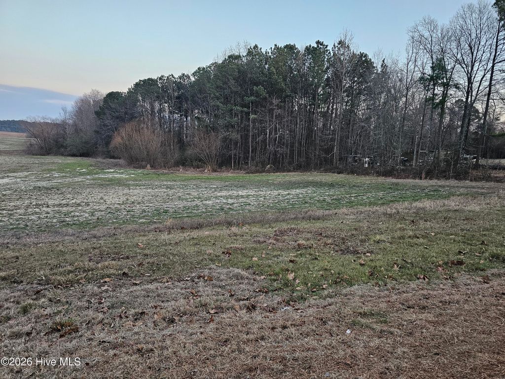 Photo of Tbd Bibey Road, Carthage, NC 28327 (MLS # 100553632)