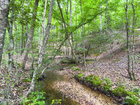 Vacant Land For Sale - Old Charlotte Highway<br/> Rockingham, NC 28379