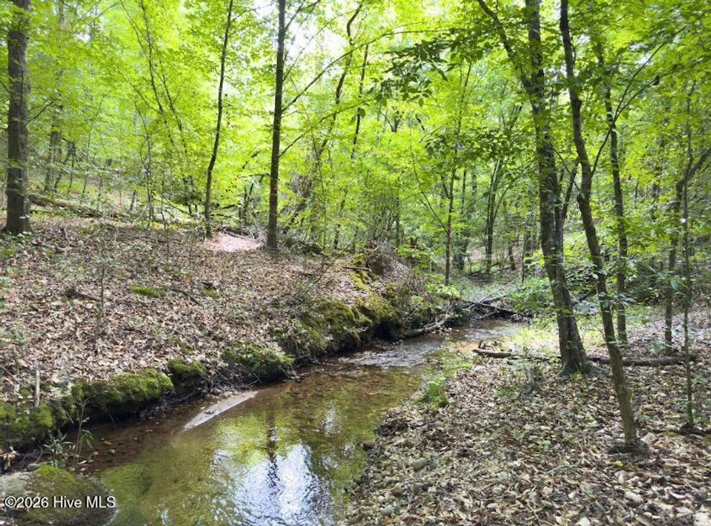 Photo of 0 Old Charlotte Highway, Rockingham, NC 28379 (MLS # 100560721)