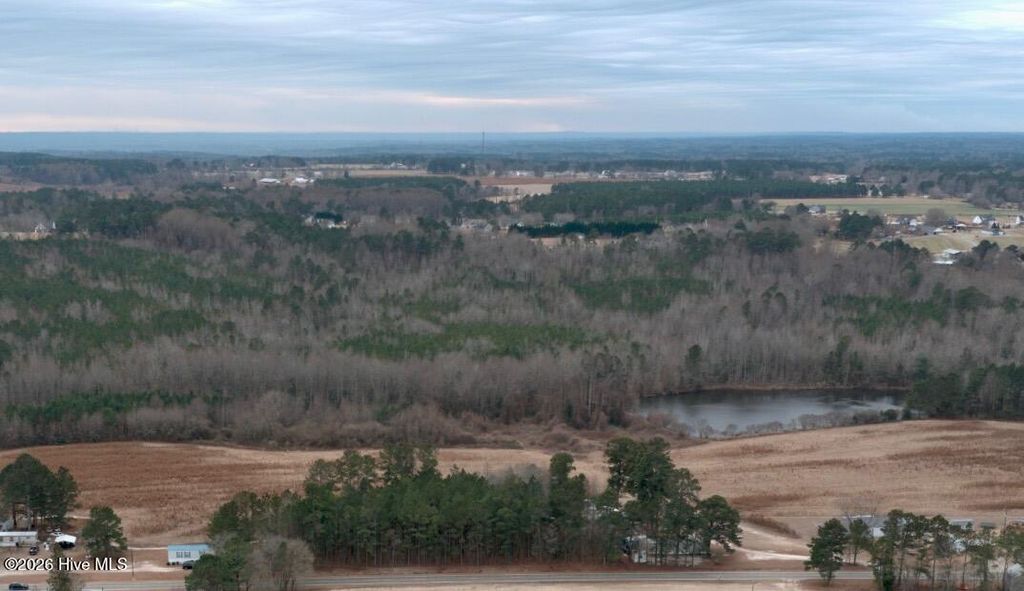 Photo of 66 Bradley Road, Broadway, NC 27505 (MLS # 100550733)