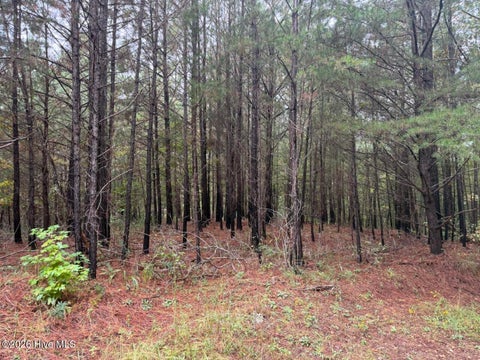 Photo of 1440 Upper Bear Paw Road, Murphy, NC 28906 (MLS # 100608331)