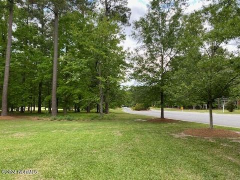Photo of 100 Thames Lane, Chocowinity, NC 27817 (MLS # 100442204)