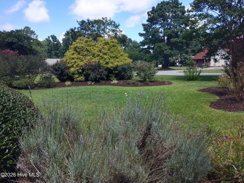 Photo of 116 Annas Way, Grandy, NC 27939 (MLS # 100601286)