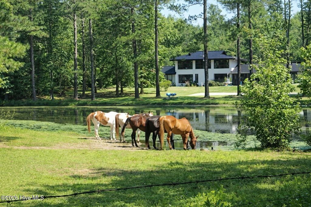 Photo of 171 Dobbins Lane, Rockingham, NC 28379 (MLS # 100569696)