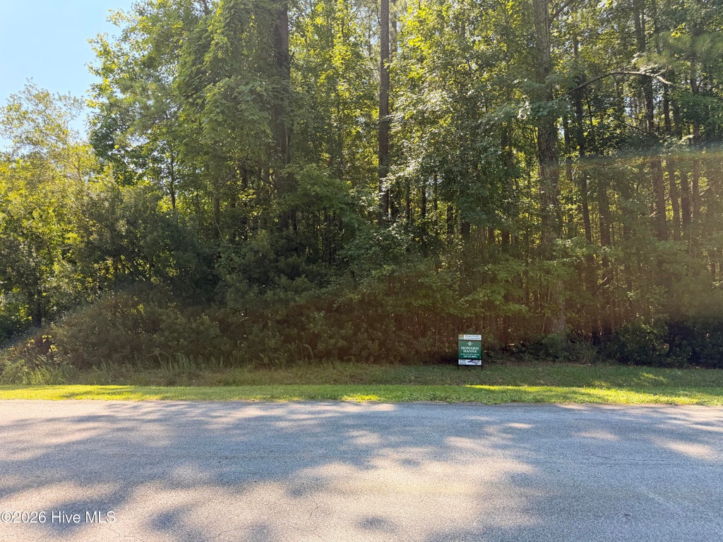 Photo of 18 Off Sr 1119, Blounts Creek, NC 27814 (MLS # 100588134)