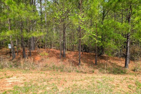 Vacant Land For Sale - 1048 Longleaf Way<br/> Lincoln County, Lincolnton, GA 30817