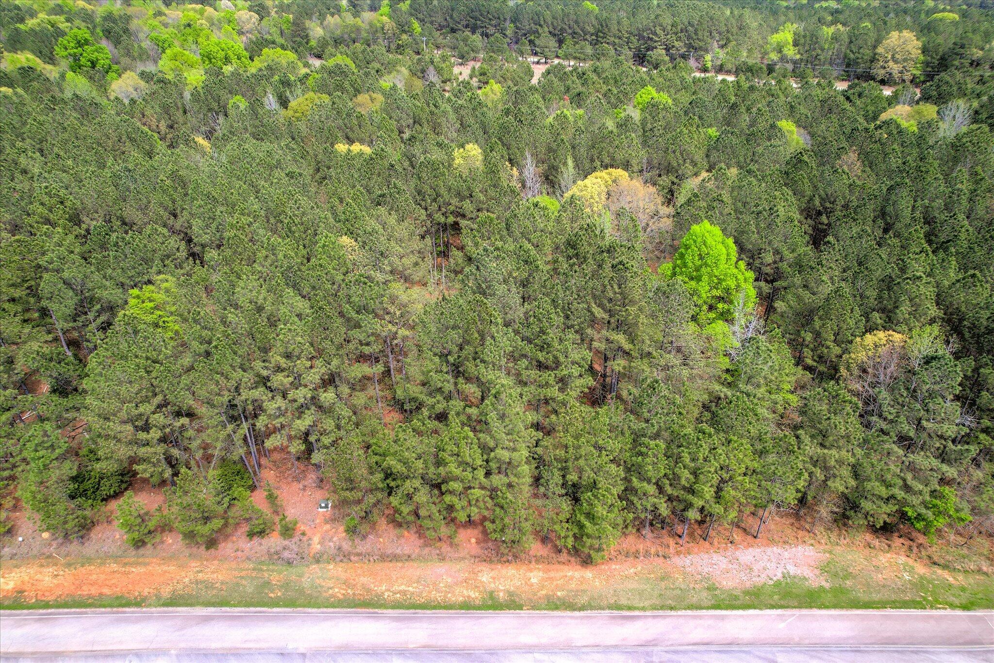 1048 Longleaf Way Lot 62