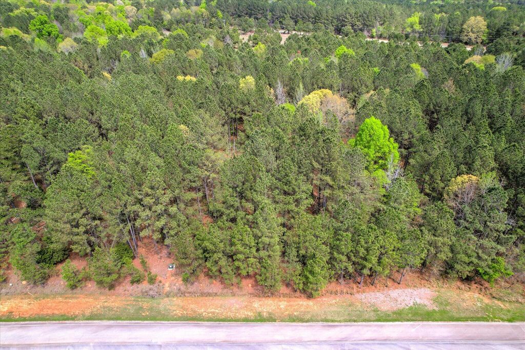 Photo of 1048 Longleaf Way, Lincolnton, GA 30817 (MLS # 554009)