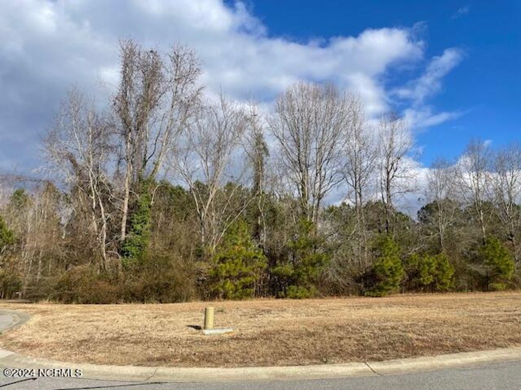 Photo of 2599 Belmont Lake Drive, Rocky Mount, NC 27804 (MLS # 100420848)