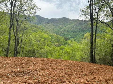 Vacant Land For Sale - LOT 8 Blackberry Bend<br/> Swain County, Bryson City, NC 28713