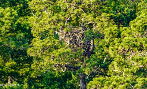 Tiny photo for 1801 Us Highway 421 N, Wilmington, NC 28401 (MLS # 100552771)