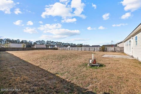 Tiny photo for 161 Christy Drive, Beulaville, NC 28518 (MLS # 100546660)