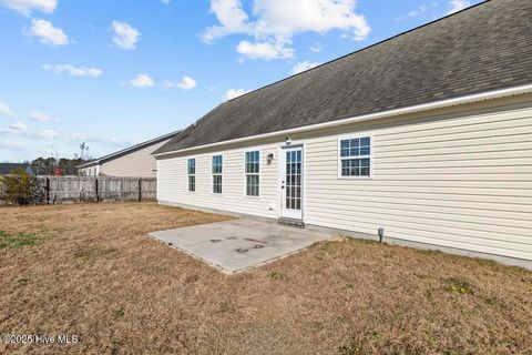 Tiny photo for 161 Christy Drive, Beulaville, NC 28518 (MLS # 100546660)
