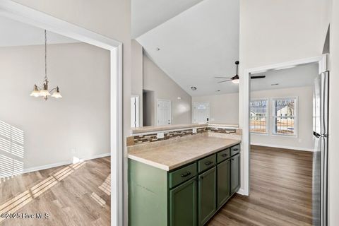 Tiny photo for 161 Christy Drive, Beulaville, NC 28518 (MLS # 100546660)