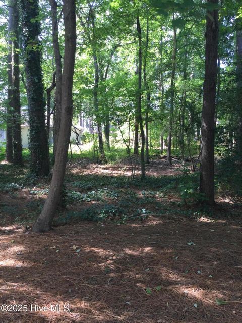 Vacant Land For Sale - 3 Belair Place<br/> Moore County, Pinehurst, NC 28374