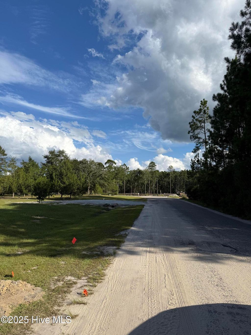 Photo of 8852 Millers Path NE, Leland, NC 28451 (MLS # 100529115)