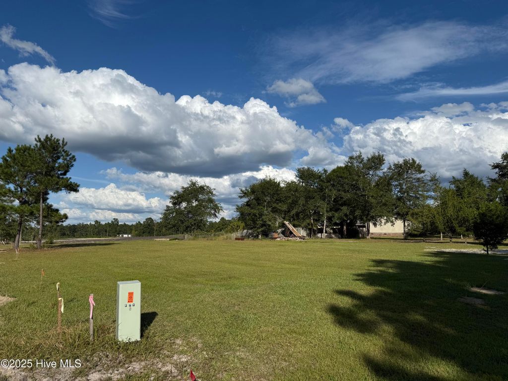 Photo of 8852 Millers Path NE, Leland, NC 28451 (MLS # 100529115)