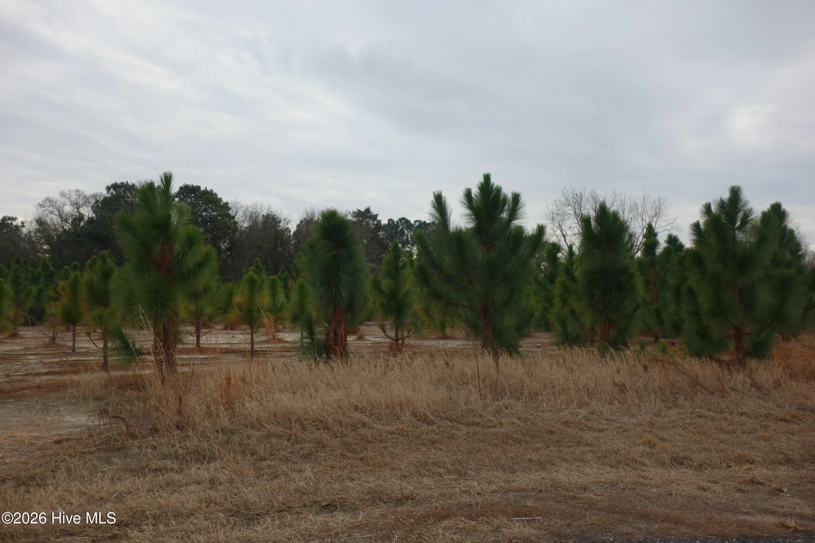 Lot 43 Stuarts Mill Road