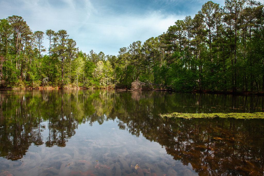 Photo of 6011 Old Union Road, Harlem, GA 30814 (MLS # 554271)