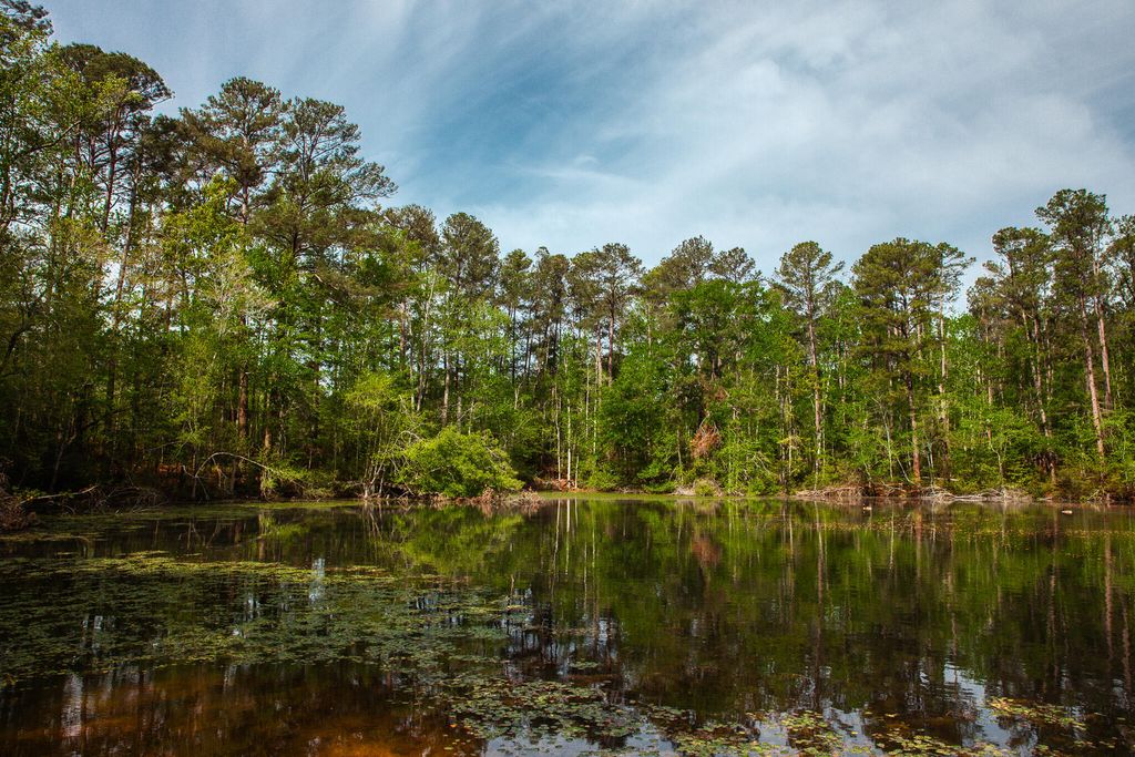 Photo of 6011 Old Union Road, Harlem, GA 30814 (MLS # 554271)