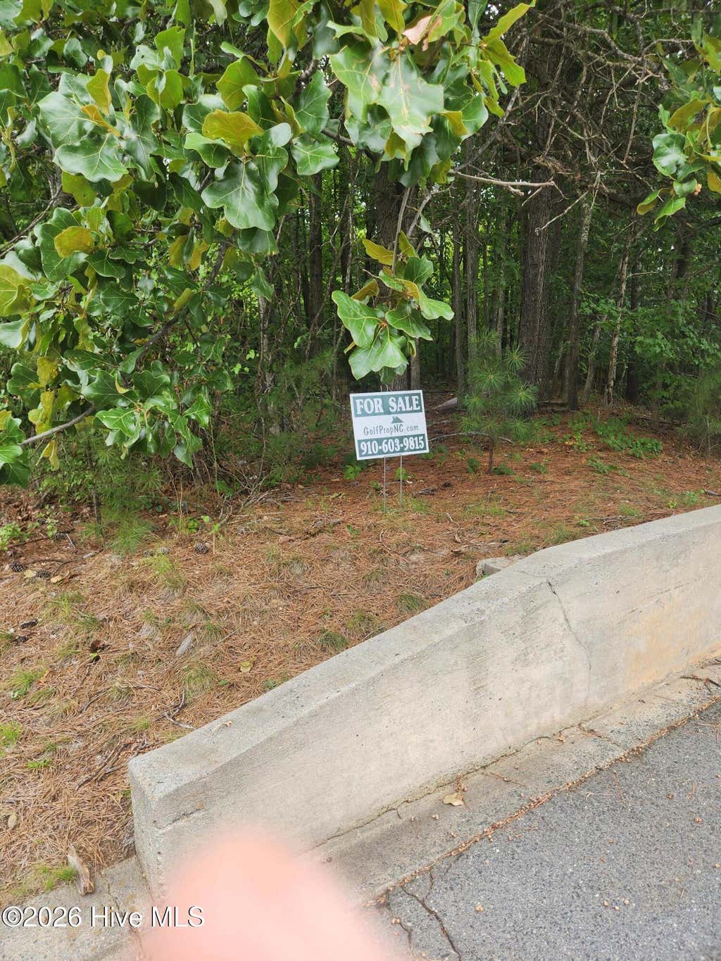 Photo of 1610 E Salisbury Street, Asheboro, NC 27203 (MLS # 100599504)