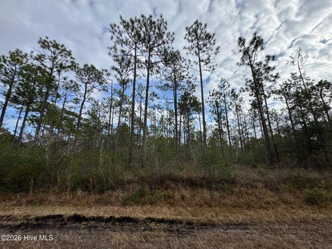 Tiny photo for 22 Pepperhill Road, Southport, NC 28461 (MLS # 100547437)