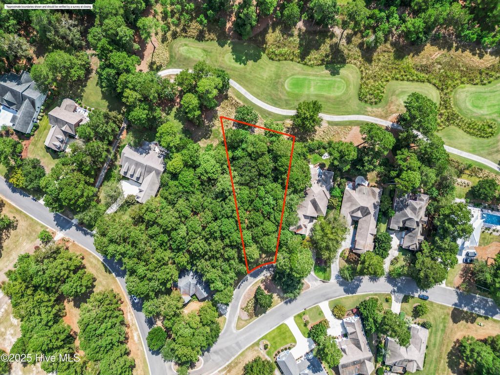 Photo of 113 Legacy Woods Drive, Wallace, NC 28466 (MLS # 100533250)