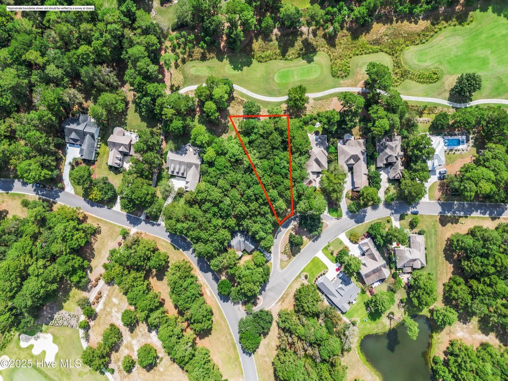 Photo of 113 Legacy Woods Drive, Wallace, NC 28466 (MLS # 100533250)