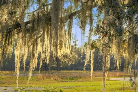 1 William's (36 lots 95 acres) Retreat Savannah GA 31419