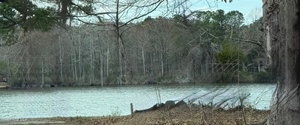 Photo of 269 Creek Road, Bath, NC 27808 (MLS # 100557288)