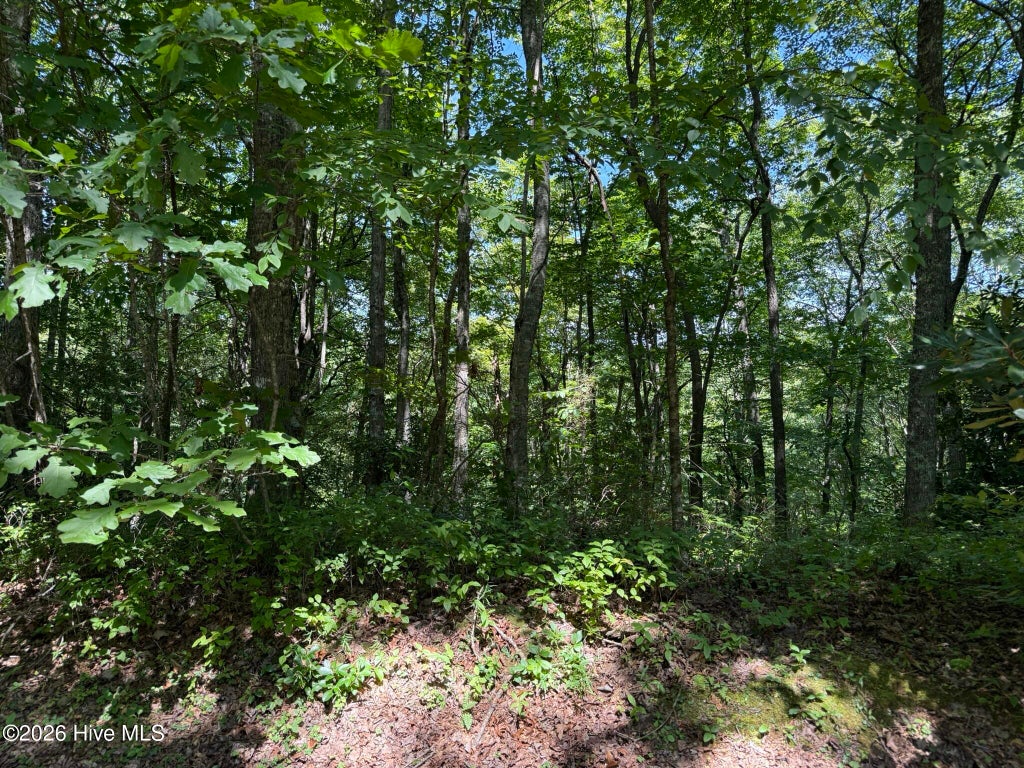 Photo of 3 Amber Lane, Topton, NC 28781 (MLS # 100598519)