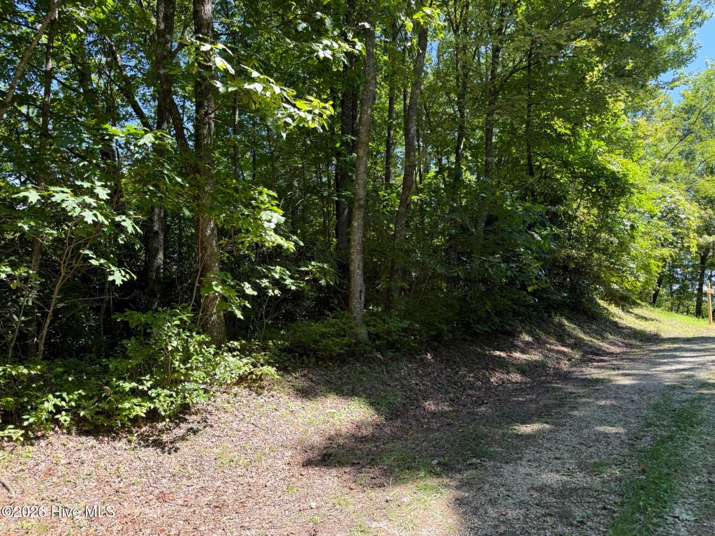 Photo of 3 Amber Lane, Topton, NC 28781 (MLS # 100598519)