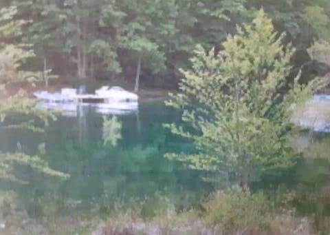 Vacant Land For Sale - 00 Wayah Road<br/> Topton, NC 28781