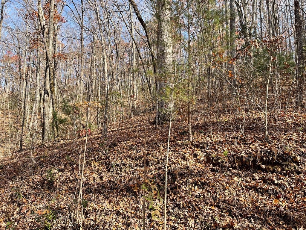 Lots Ash Branch View - Photo 3