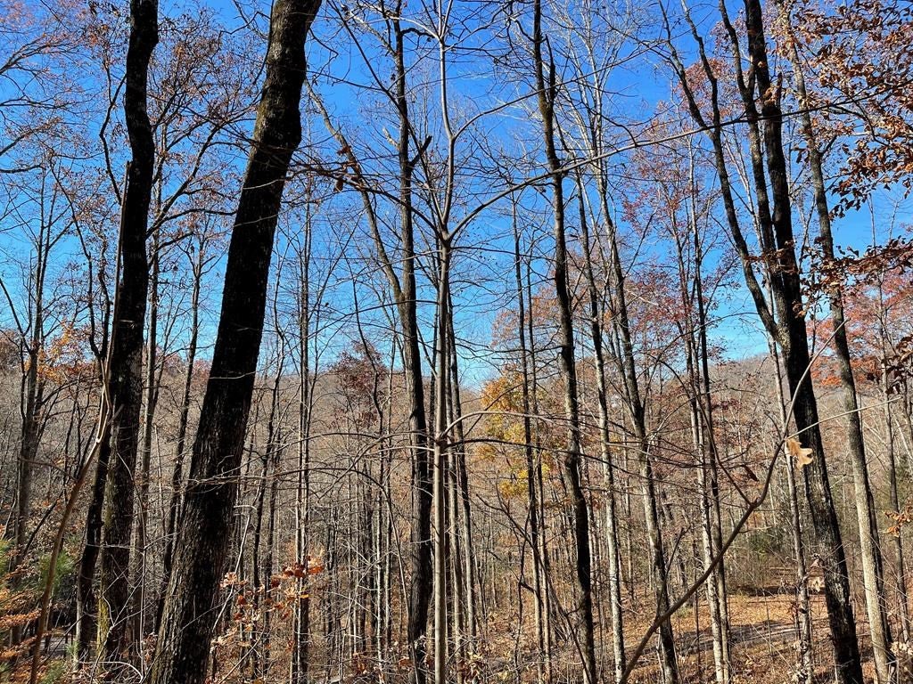 Lots Ash Branch View - Photo 2