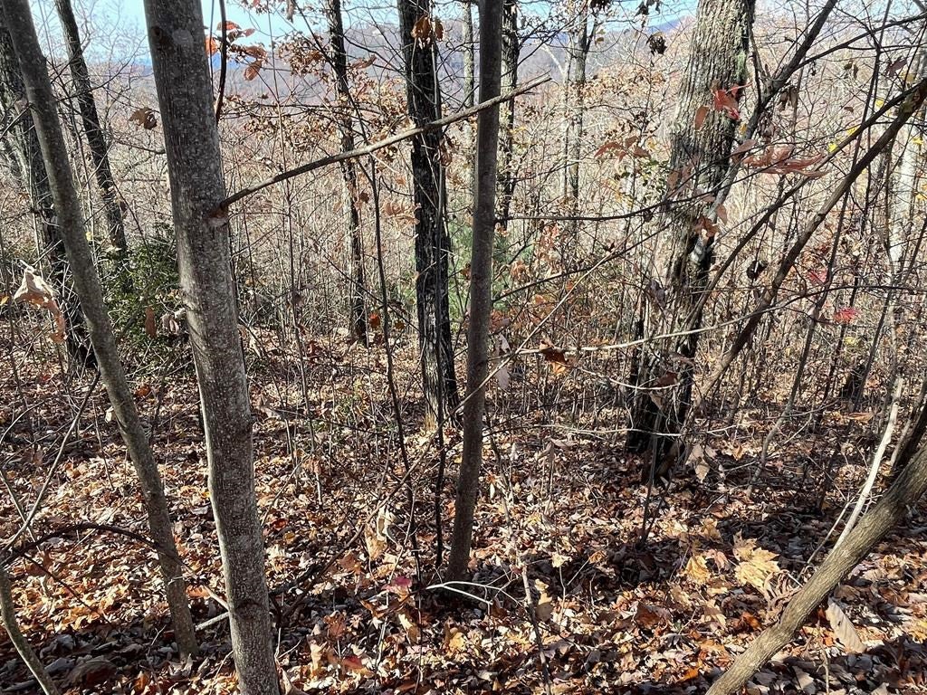Lots Ash Branch View - Photo 4