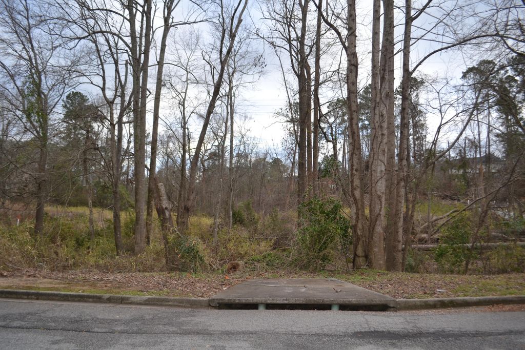 Photo of 4478 Cape Code Drive, Evans, GA 30809 (MLS # 550910)