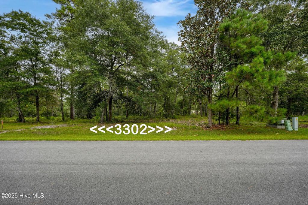 Photo of 3302 Portside Drive SW, Supply, NC 28462 (MLS # 100530324)