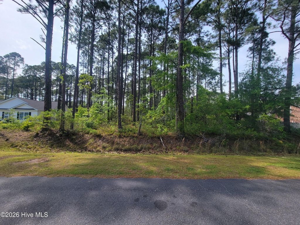 Photo of 237 Berryknoll Drive NW, Calabash, NC 28467 (MLS # 100573459)