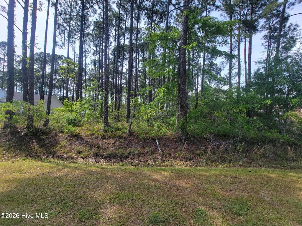 Photo of 237 Berryknoll Drive NW, Calabash, NC 28467 (MLS # 100573459)