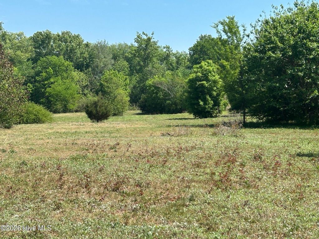 Photo of 100 1st Street, Laurinburg, NC 28352 (MLS # 100571676)